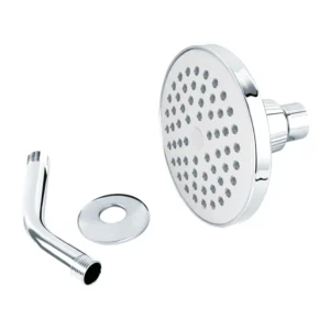 Regadera tipo Platillo