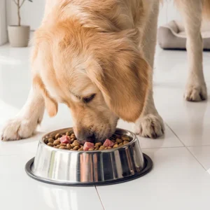 Plato de Acero Anti Ruido para perros y gatos